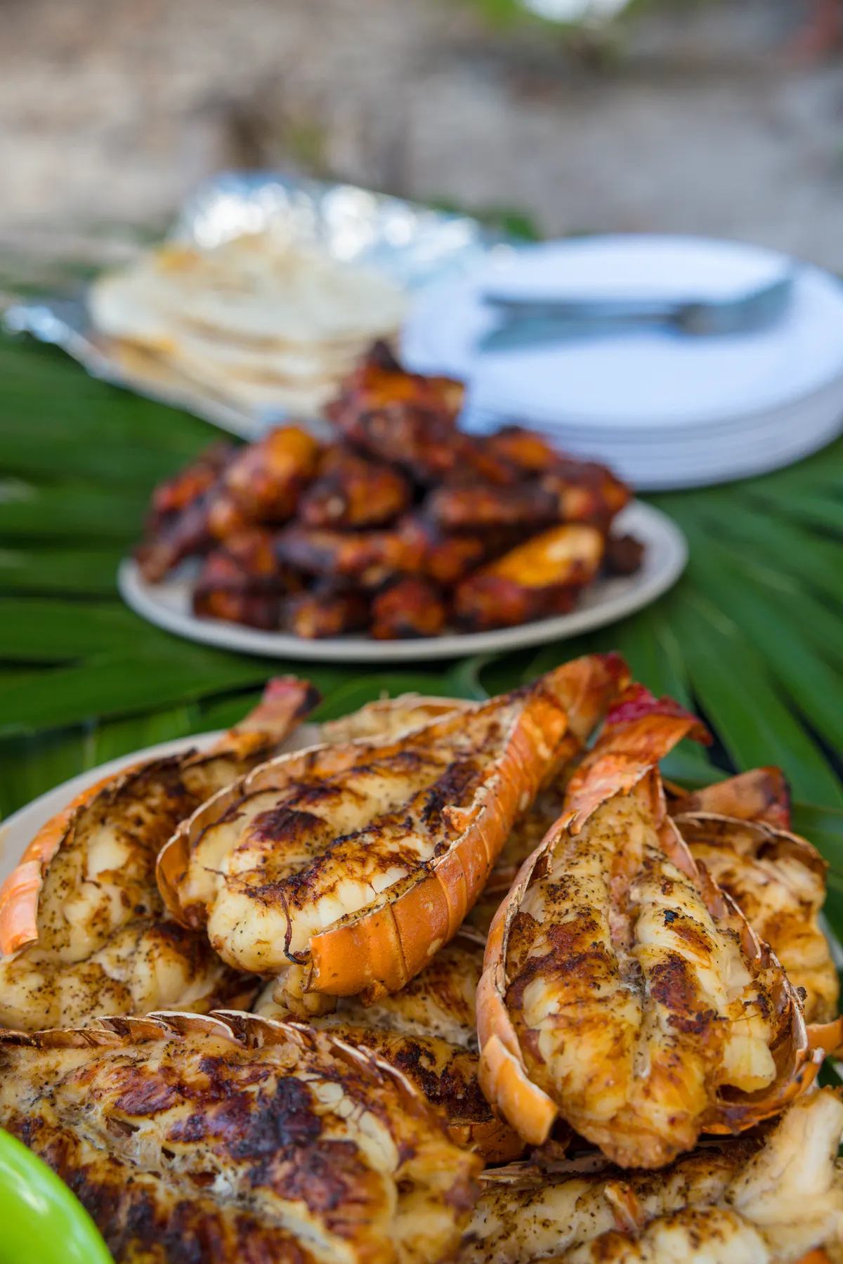 Beach BBQ on a 501 Adventure Tours island trip