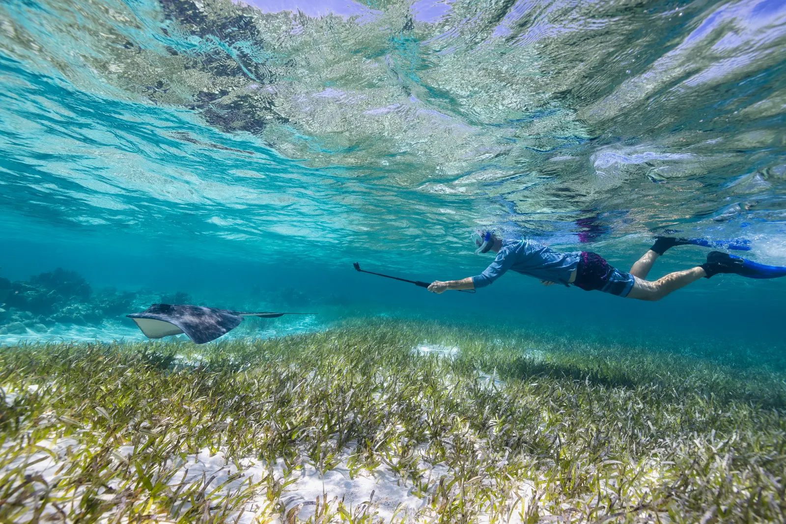 Snorkeling the Belize Barrier Reef near San Pedro