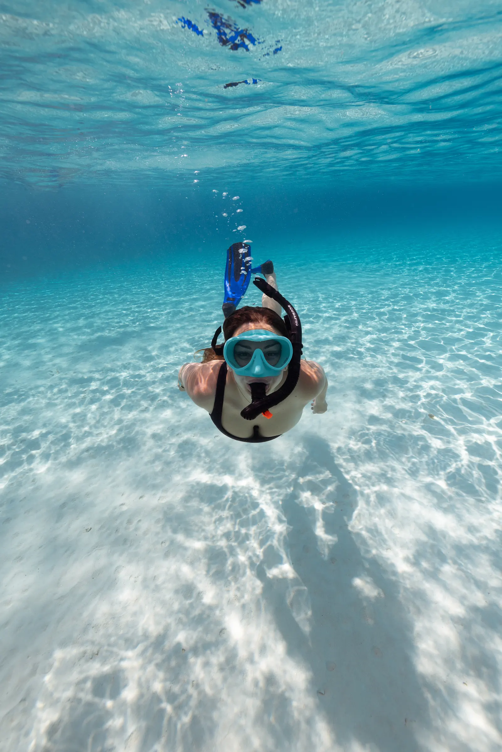 Snorkeling in Belize, Ocean Tide on Instagram