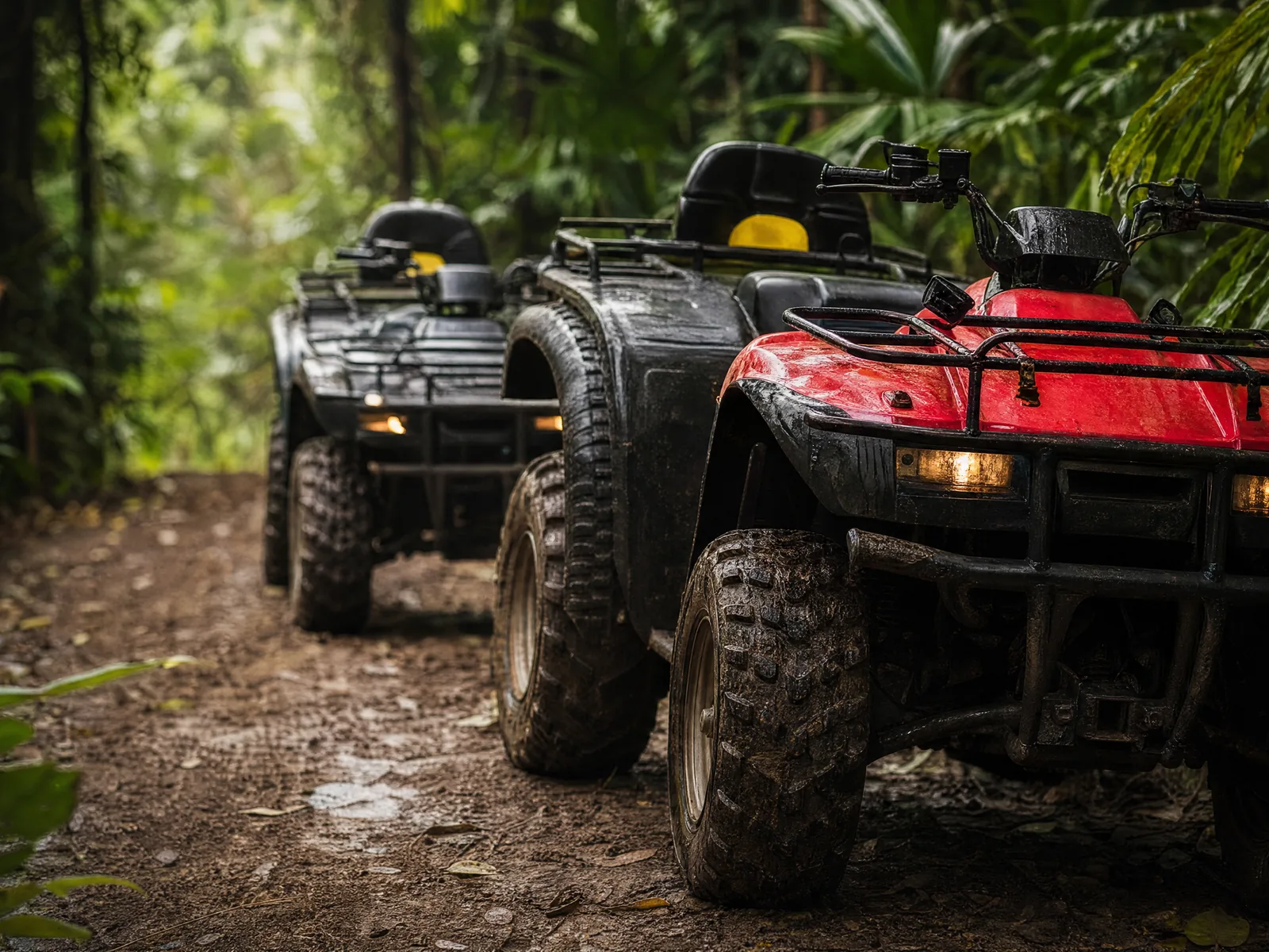 ATV Jungle Tour in Belize with 501 Adventure Tours, photo 4