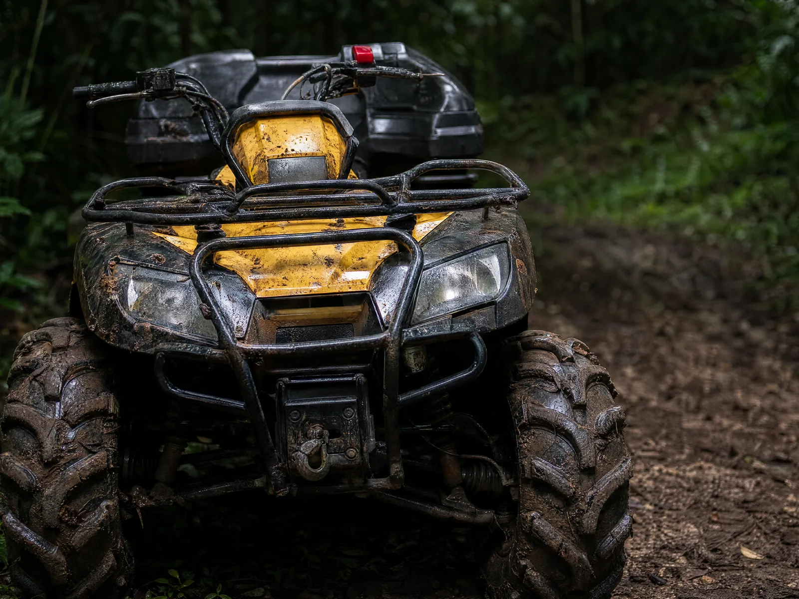 ATV Jungle Tour in Belize with 501 Adventure Tours, photo 6