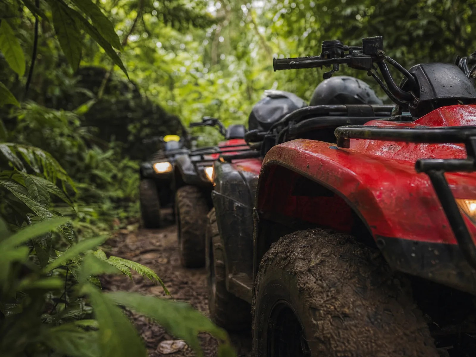 ATV Jungle Tour in Belize with 501 Adventure Tours, photo 7