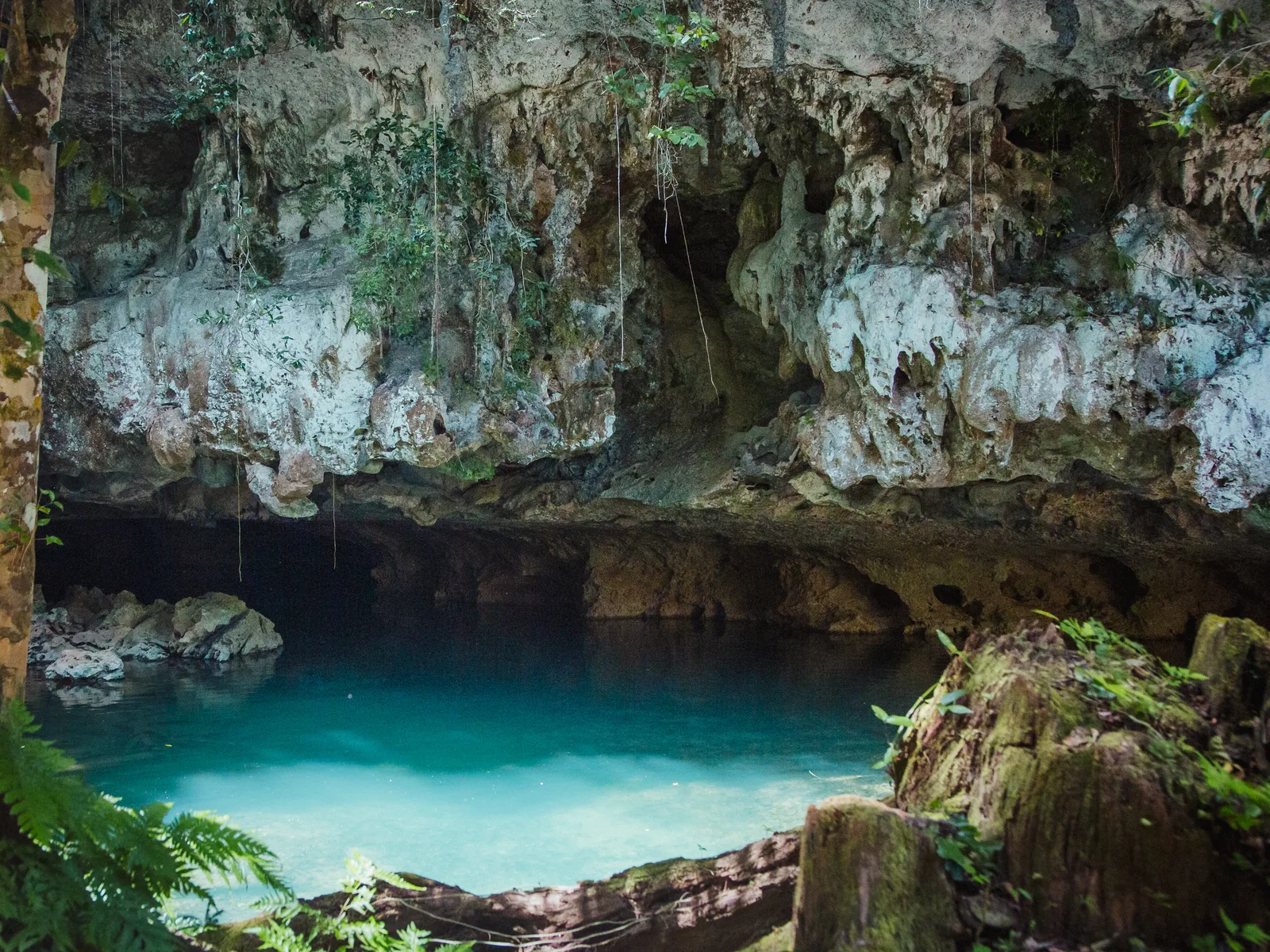 Cave Tubing in Belize with 501 Adventure Tours, photo 8