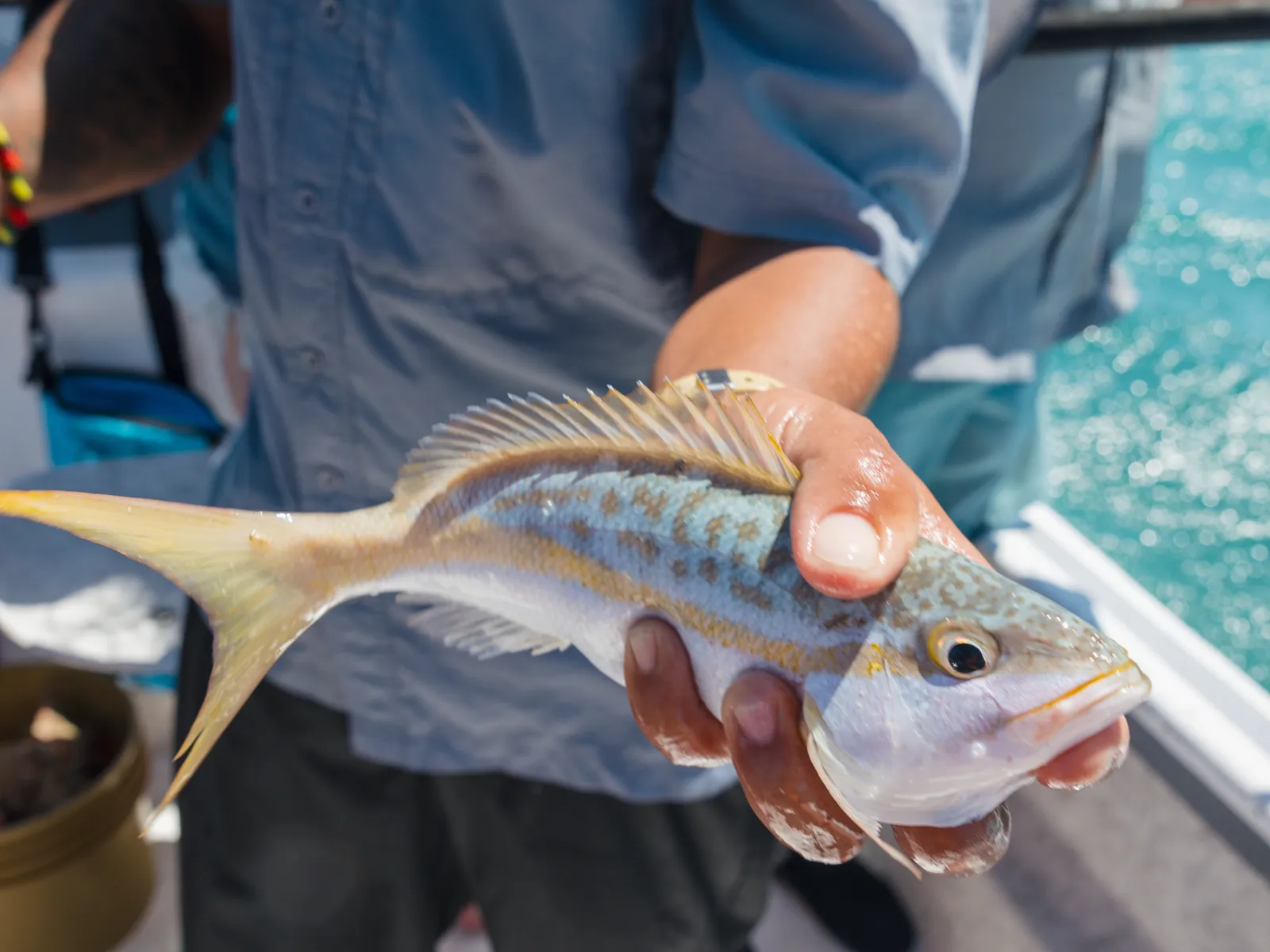 Fishing in Belize with 501 Adventure Tours, photo 4