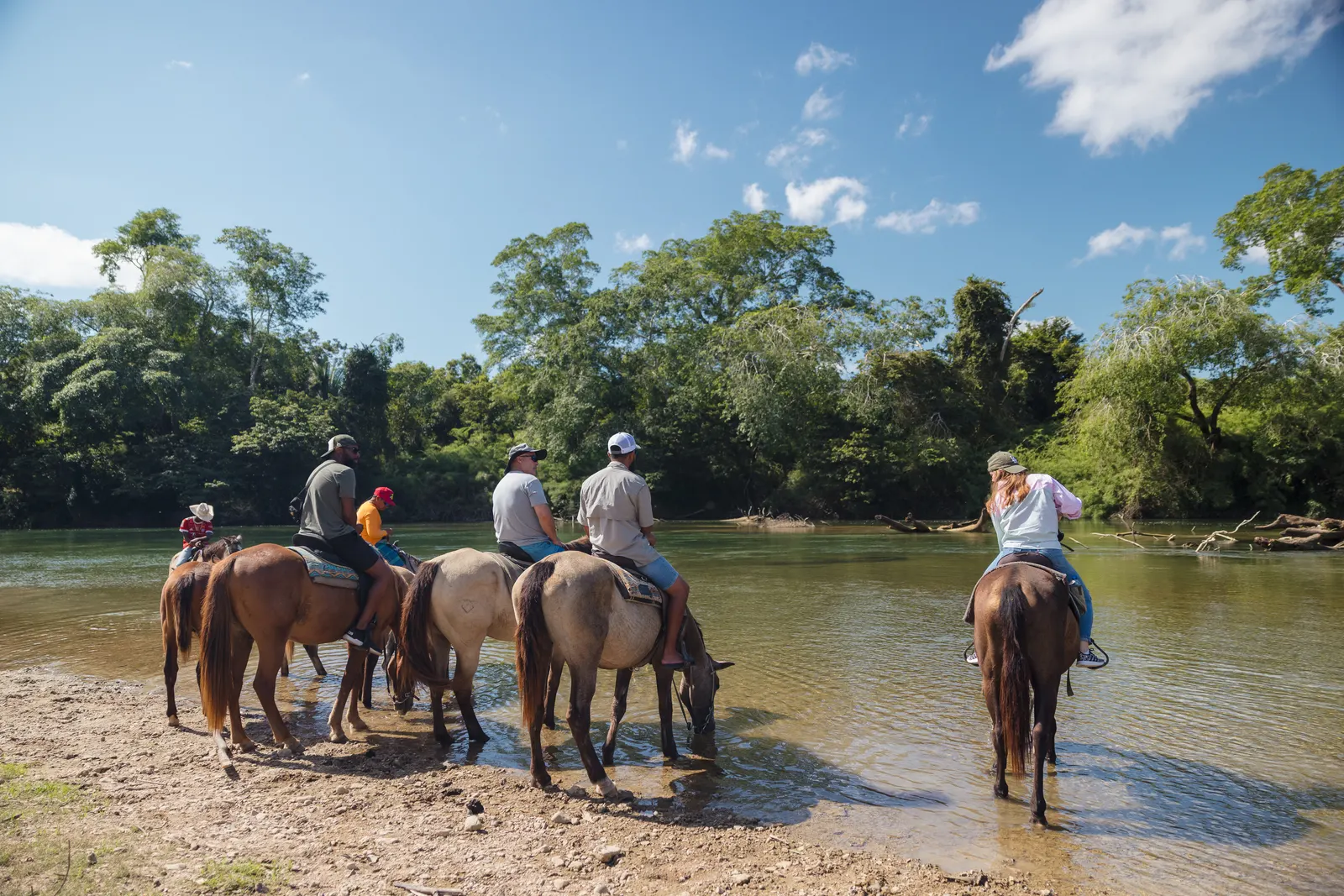 Horseback Riding in Belize with 501 Adventure Tours, photo 1