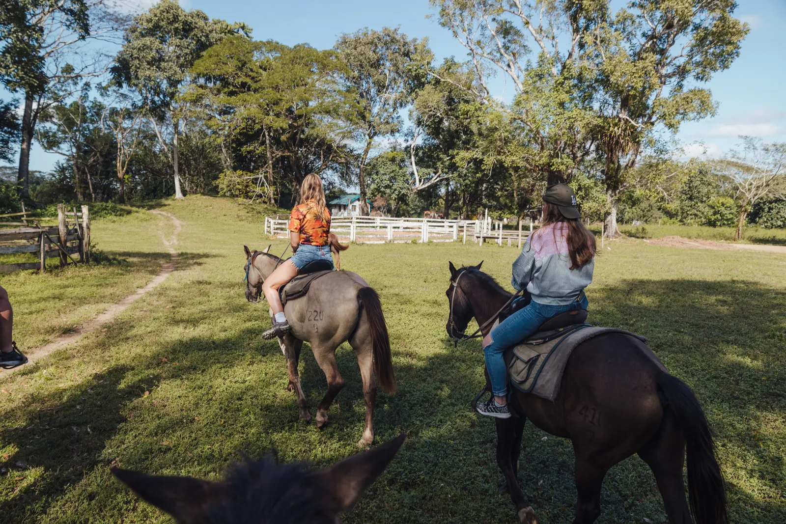 Horseback Riding in Belize with 501 Adventure Tours, photo 3