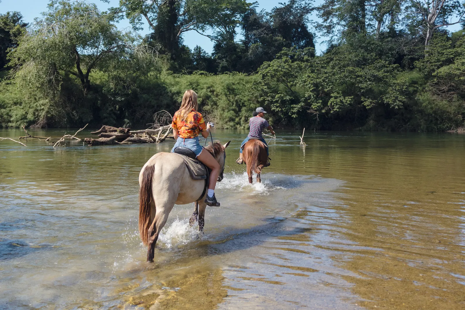 Horseback Riding in Belize with 501 Adventure Tours, photo 4