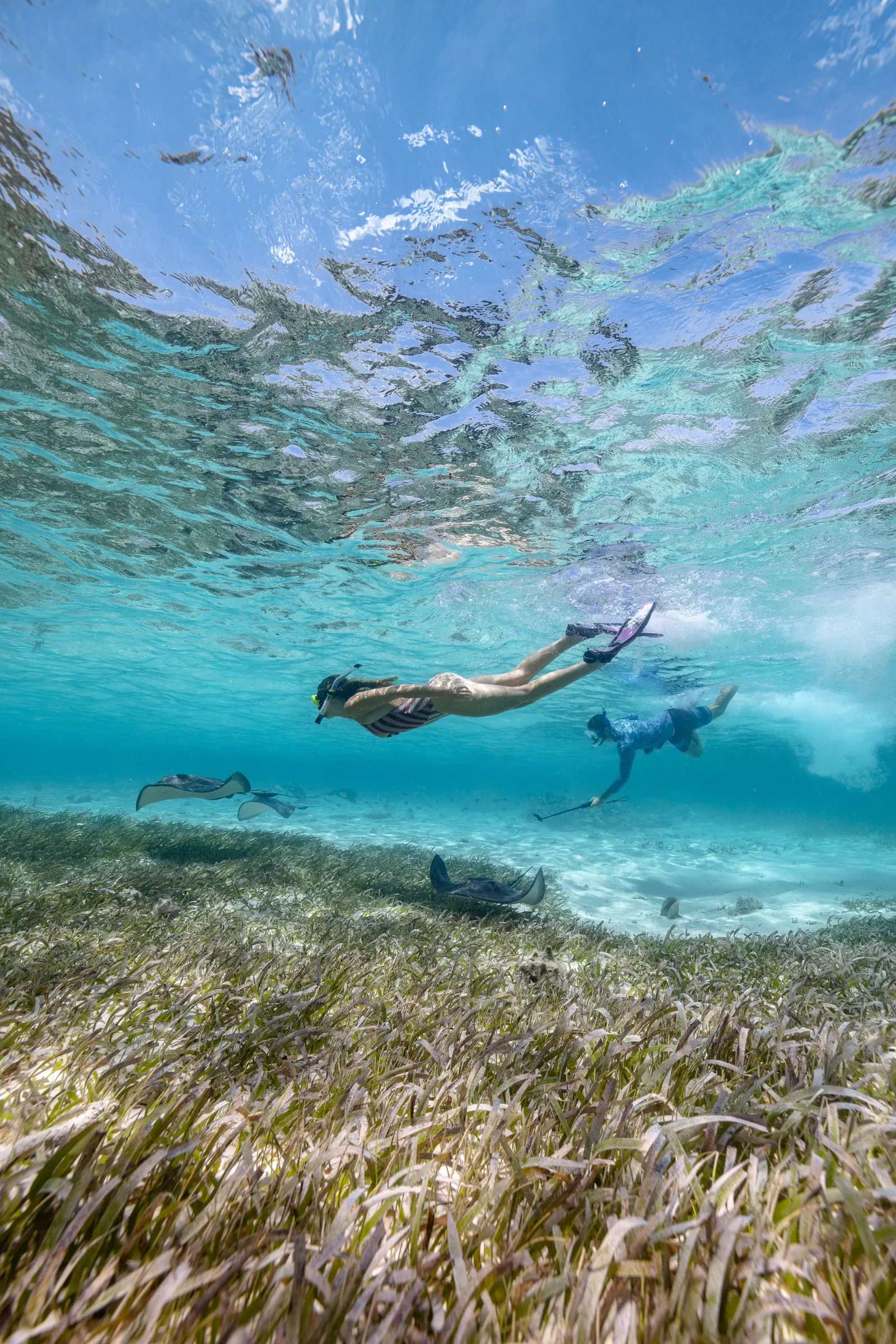 Snorkeling, 501 Adventure Tours Belize