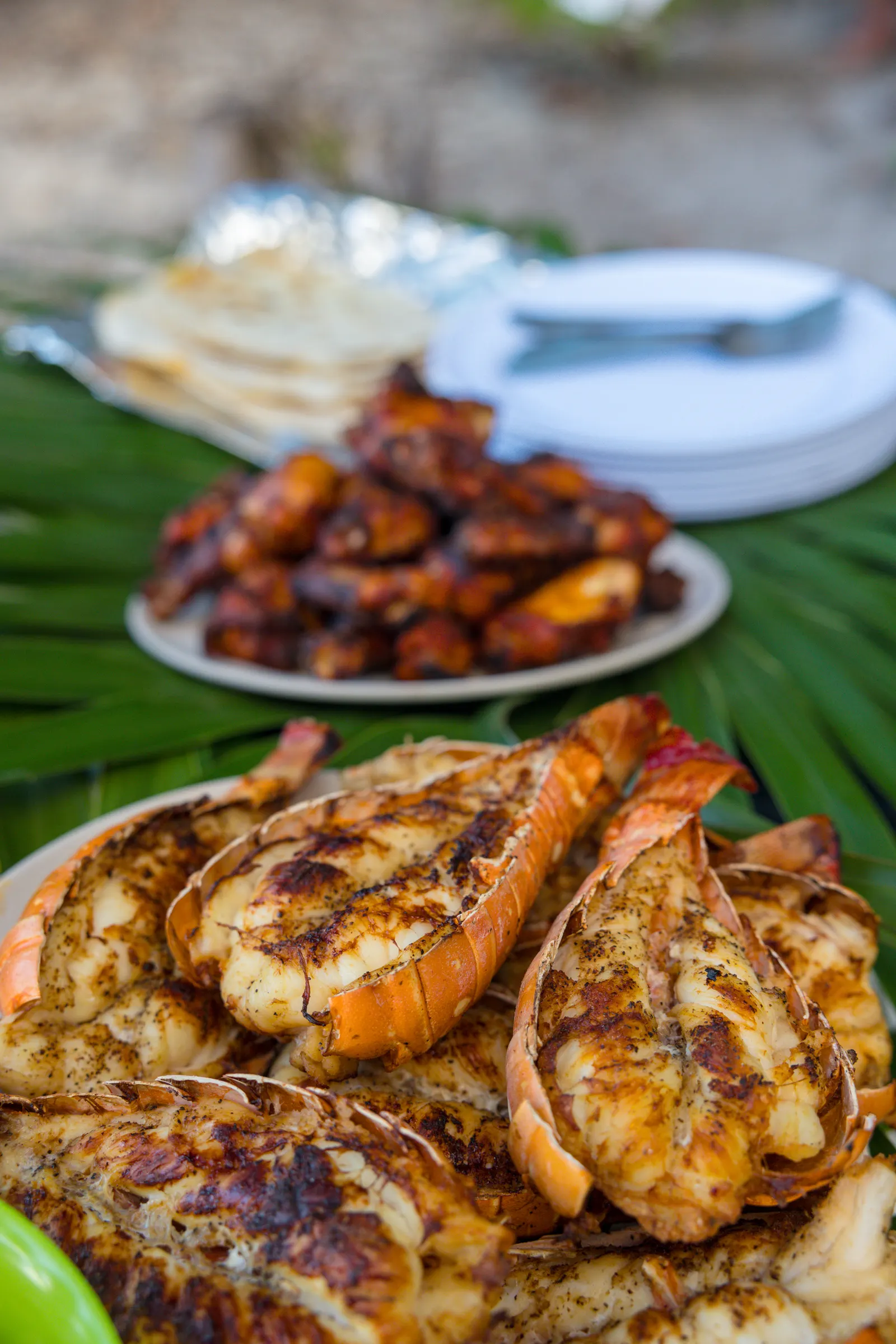 Private Beach BBQ, 501 Adventure Tours Belize