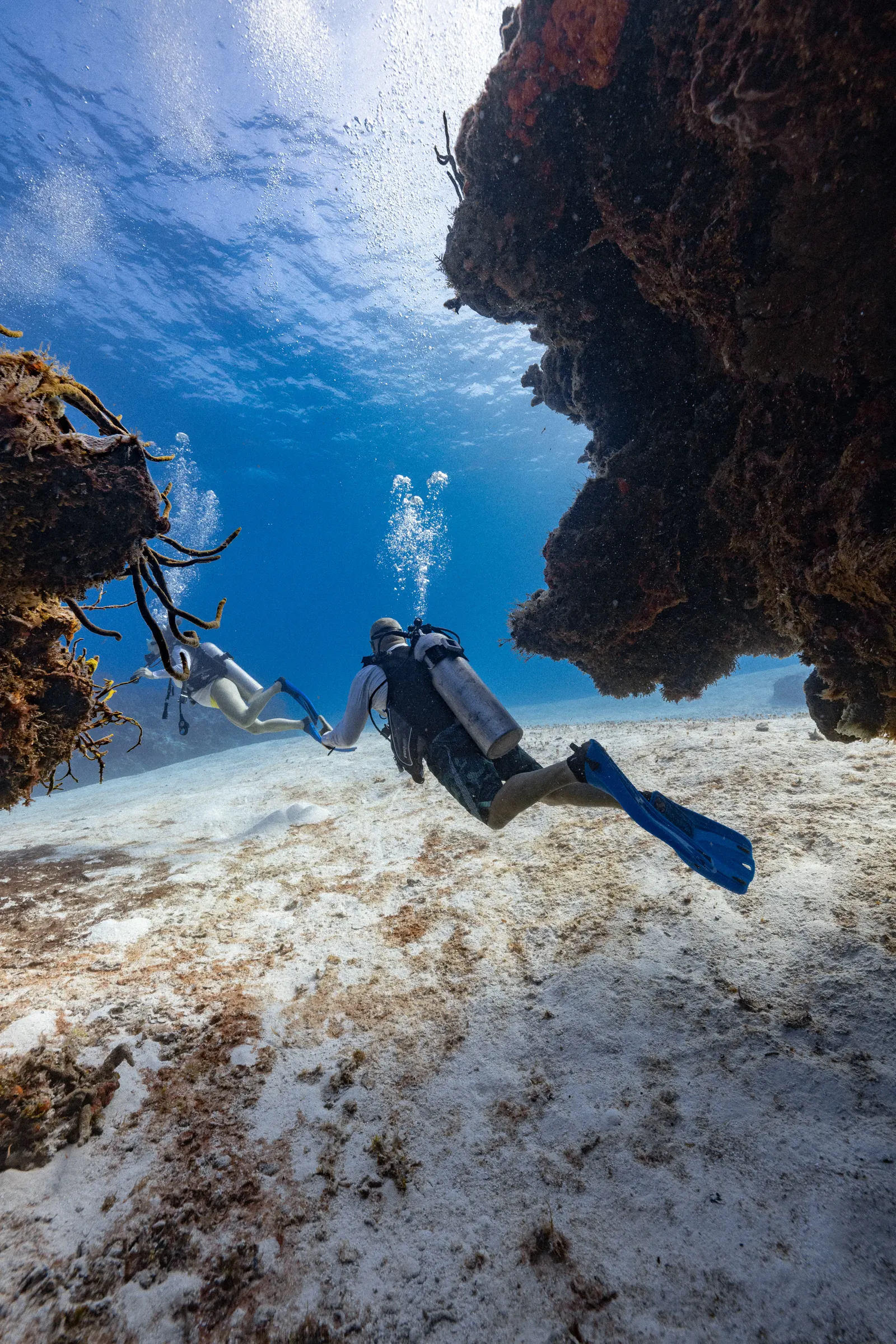 Scuba Diving, 501 Adventure Tours Belize