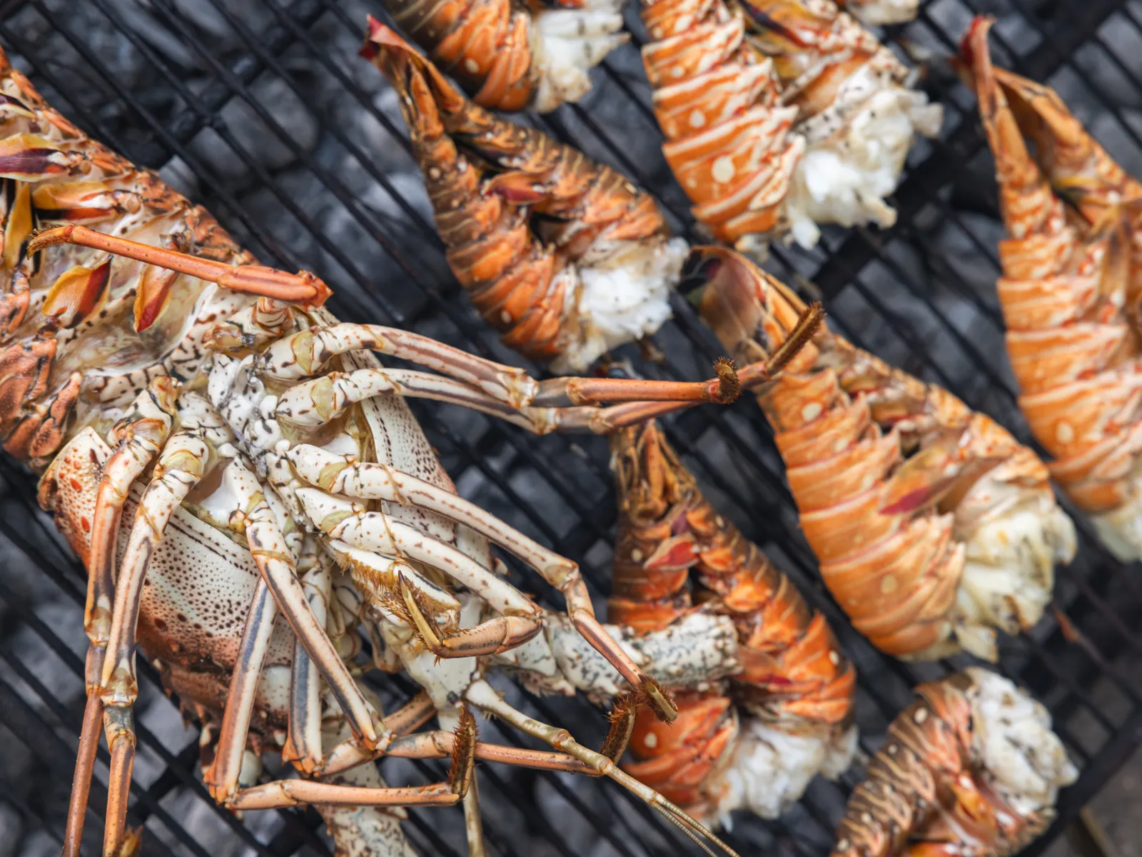 Private Beach BBQ in Belize with 501 Adventure Tours, photo 5