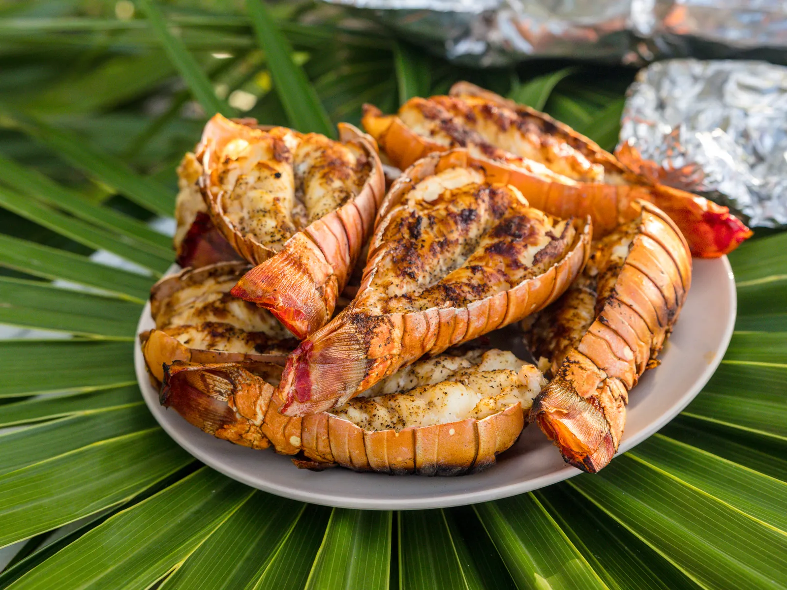 Private Beach BBQ in Belize with 501 Adventure Tours, photo 6