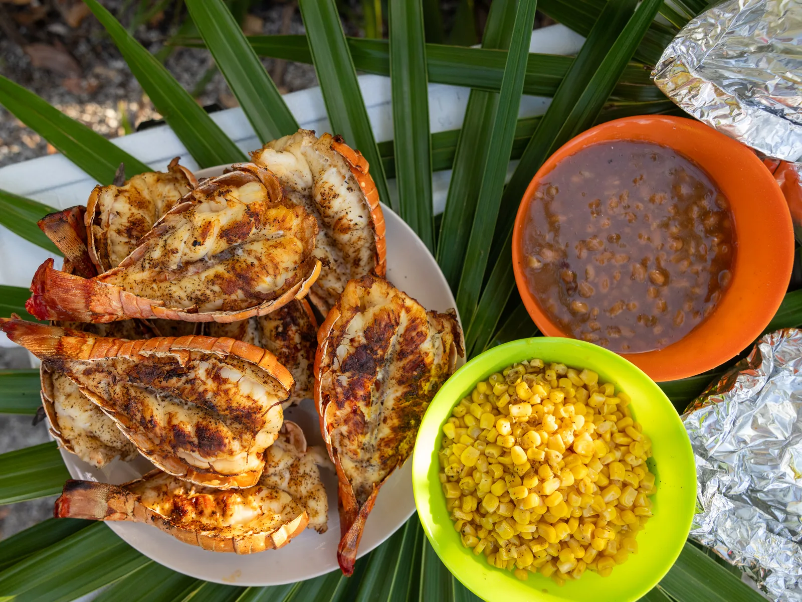 Private Beach BBQ in Belize with 501 Adventure Tours, photo 8