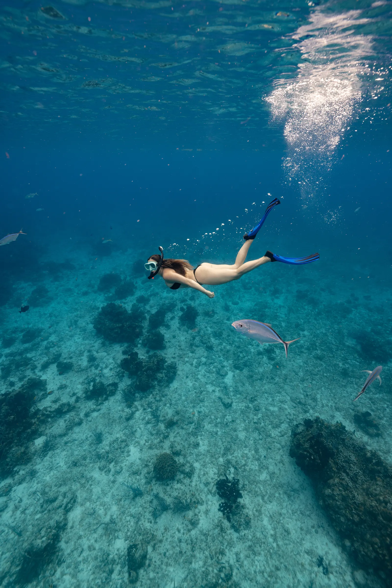 Snorkeling in Belize with 501 Adventure Tours, photo 6