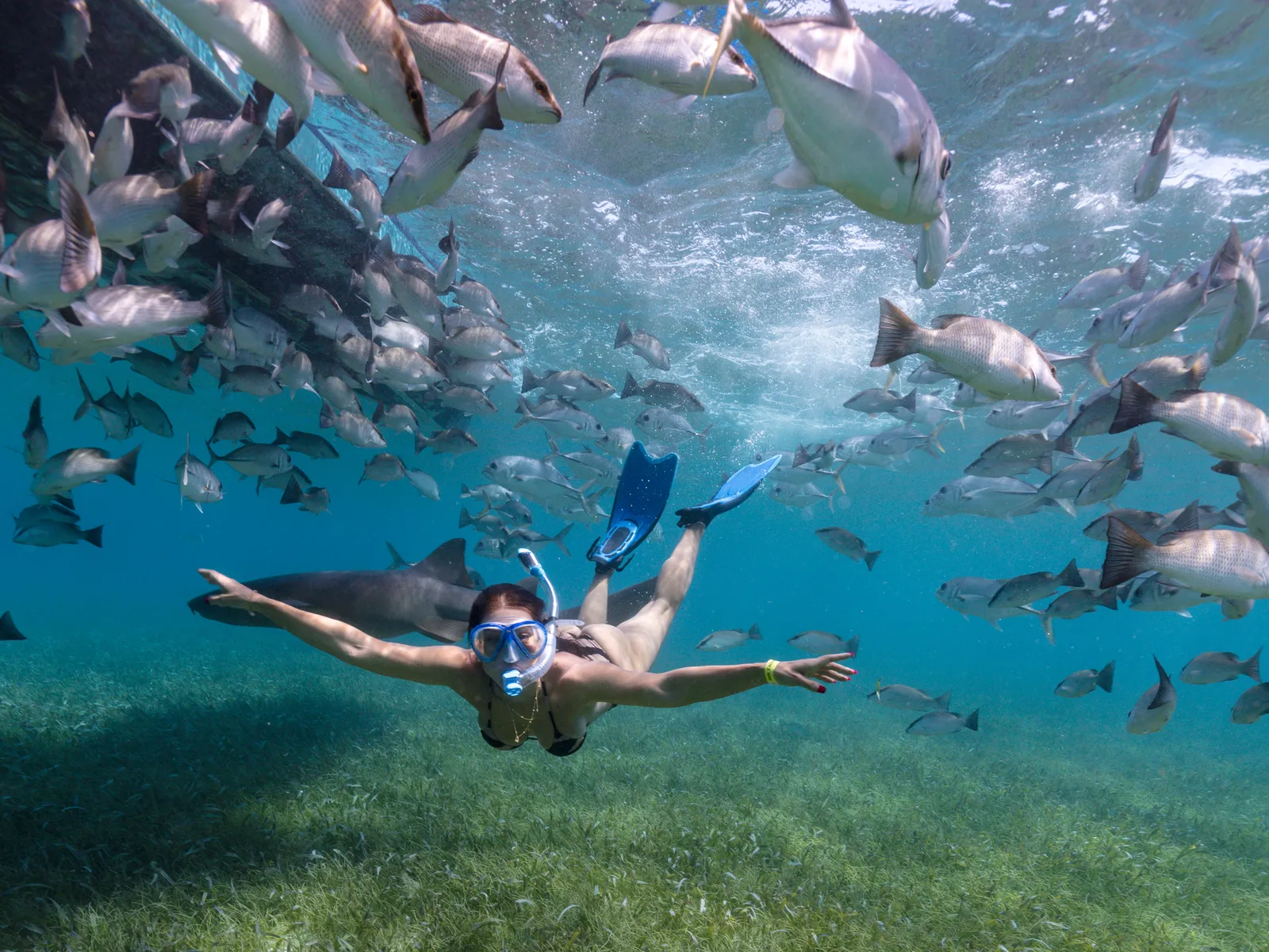 Snorkeling in Belize with 501 Adventure Tours, photo 9
