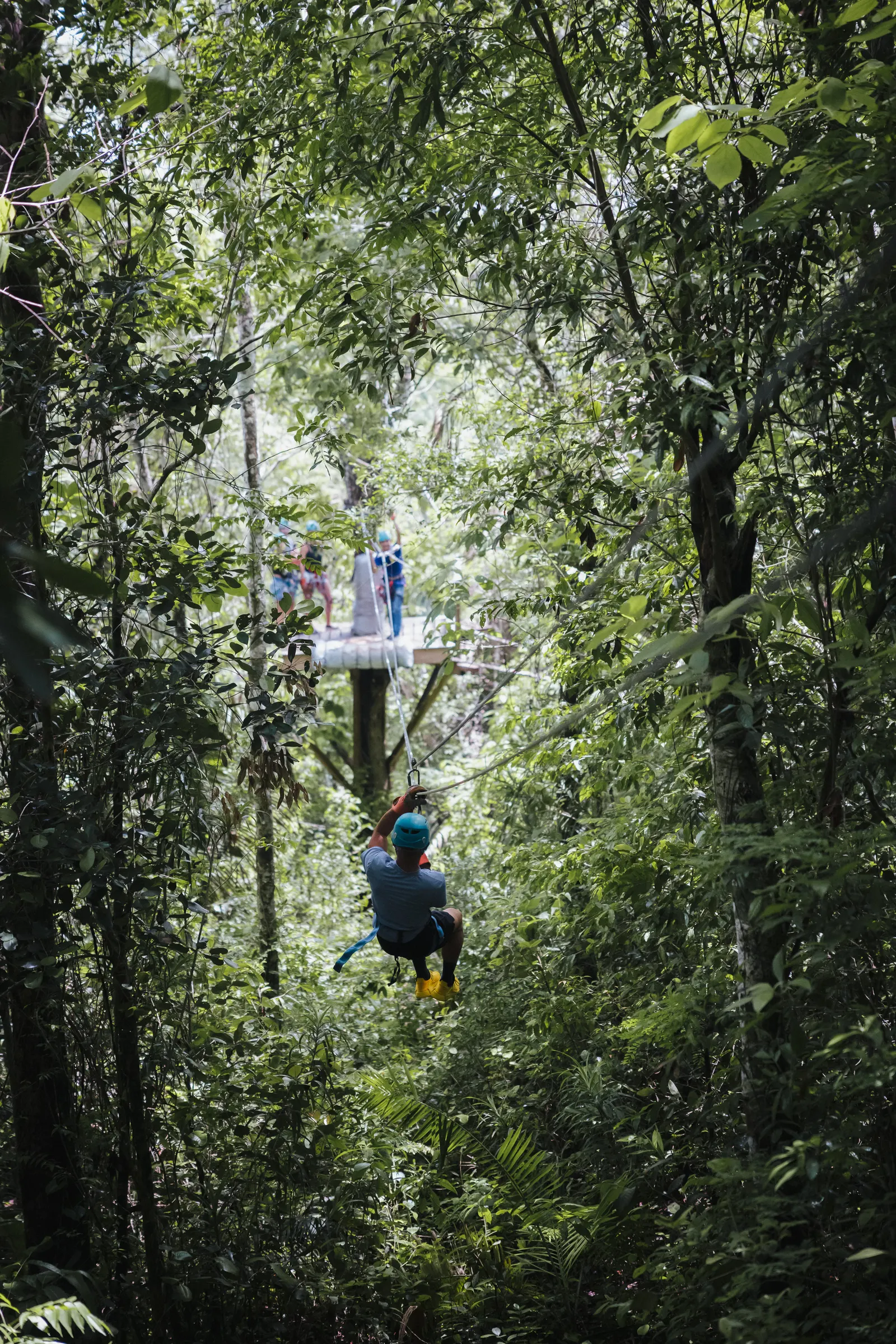 Jungle Zip-lining in Belize with 501 Adventure Tours, photo 7